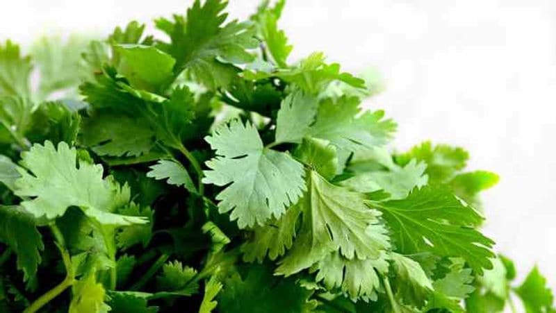 Kitchen Tips: How to store green vegetables for a year dva