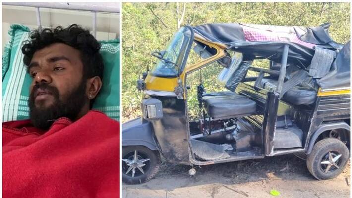 wild elephant attacks Auto; driver escaped narrowly wild elephant attacks Auto; driver escaped narrowly