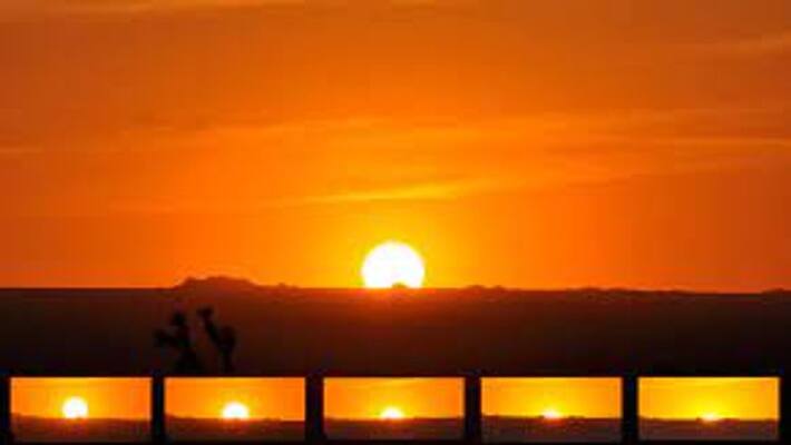 Sunday astrological tips to solve various problems ABSC Sunday astrological tips to solve various problems ABSC