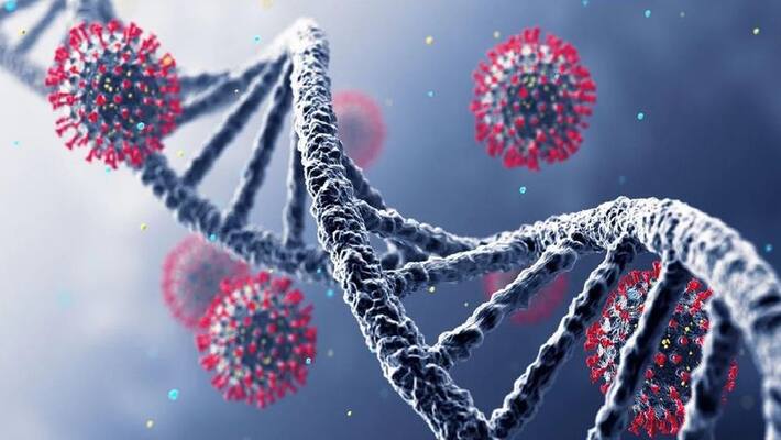 corona and omigran increases worldwide the news that another virus is currently developing is causing panic among the population delta gran corona and omigran increases worldwide the news that another virus is currently developing is causing panic among the population delta gran