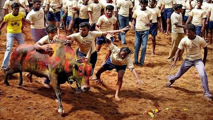 ban for manju viratu in tiruvannamalai due to corona and omicron ban for manju viratu in tiruvannamalai due to corona and omicron
