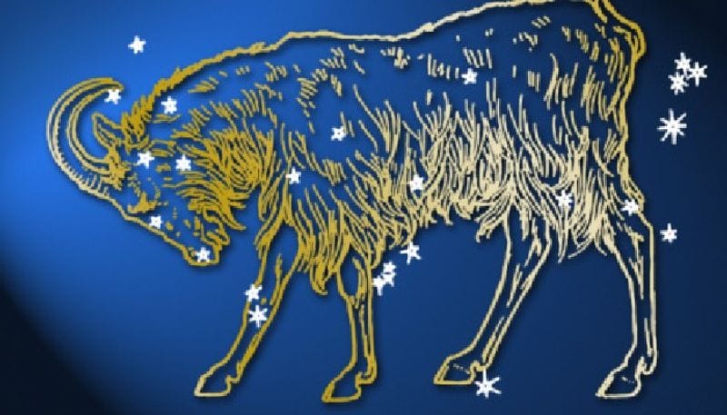 Makar Sankranti 2022: Here's What to Donate According To Your Zodiac Signs