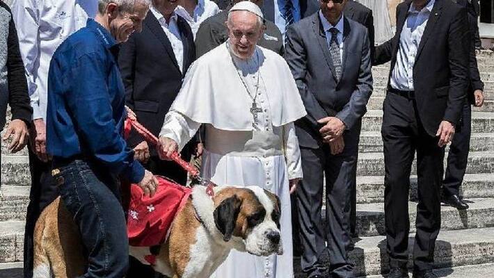 Pope Francis says people choose to have pets over children are selfish Pope Francis says people choose to have pets over children are selfish