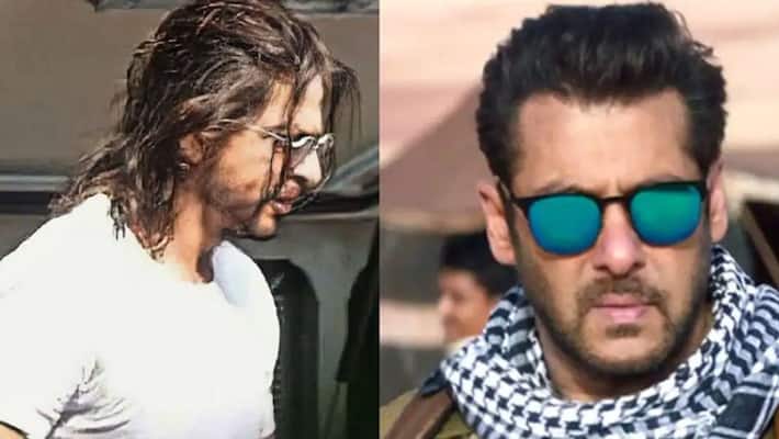 salman khan film getting late because of shahrukh khan pathan, now tiger 3 will release in 2023 KPJ salman khan film getting late because of shahrukh khan pathan, now tiger 3 will release in 2023 KPJ