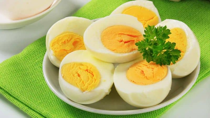 Benefits of eating egg!