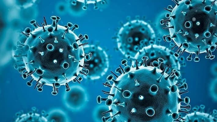 Coronavirus : A mother who frightened her son in a car collision. Coronavirus : A mother who frightened her son in a car collision.
