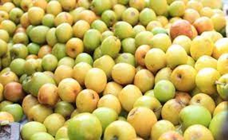 10 best benefits of surprizing health benefits of regi pallu know full details