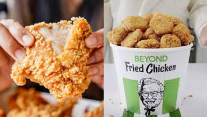 plant based fried chicken for food lovers from KFC plant based fried chicken for food lovers from KFC