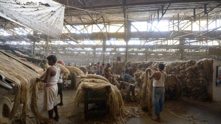 Job alert Jute Corporation of India Recruitment 2022, How To Apply BDD Job alert Jute Corporation of India Recruitment 2022, How To Apply BDD