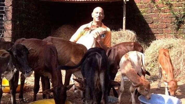 man who save and rehabilitate cows in goa man who save and rehabilitate cows in goa