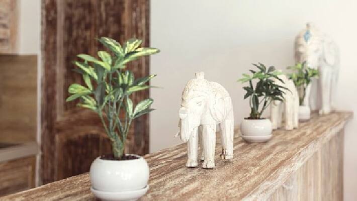 Decorate house with elephant statue it brings good luck Decorate house with elephant statue it brings good luck