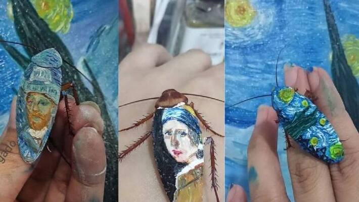 this artist paintings on dead cockroaches this artist paintings on dead cockroaches
