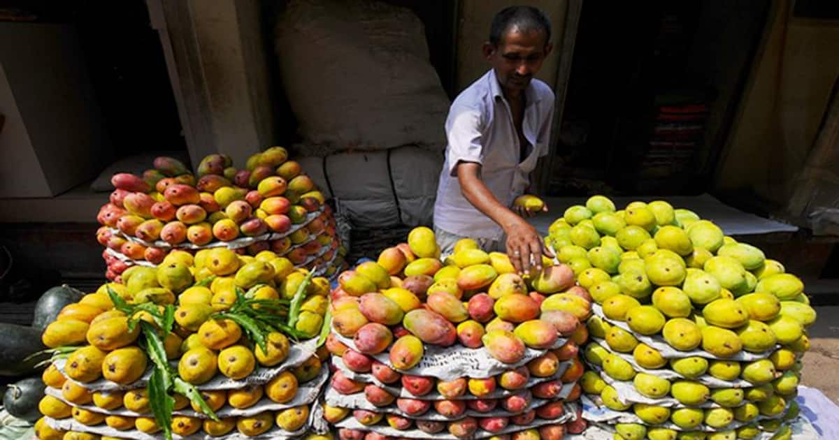Indian mango export to US to resume; India to import cherries and
