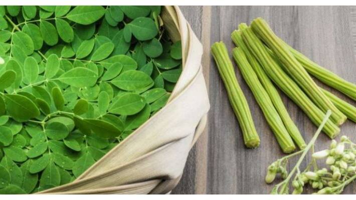 Drumstick health benefits Drumstick health benefits