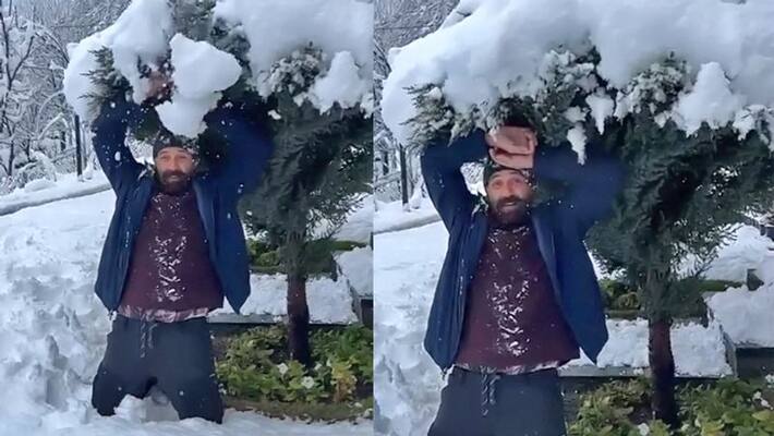 Sunny Deol was seen playing with the snow, Dharmendra shared the video and expressed his desire kpg Sunny Deol was seen playing with the snow, Dharmendra shared the video and expressed his desire kpg