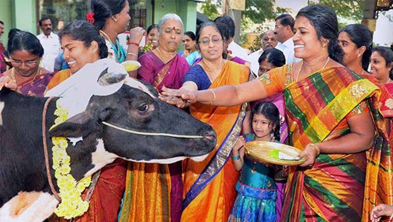 History of pongal festival