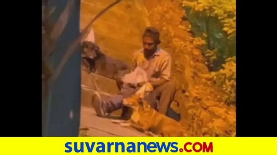homeless man celebrating his birthday with his dogs akb homeless man celebrating his birthday with his dogs akb