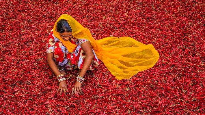 This Rajasthan girl opens a library for wemen This Rajasthan girl opens a library for wemen