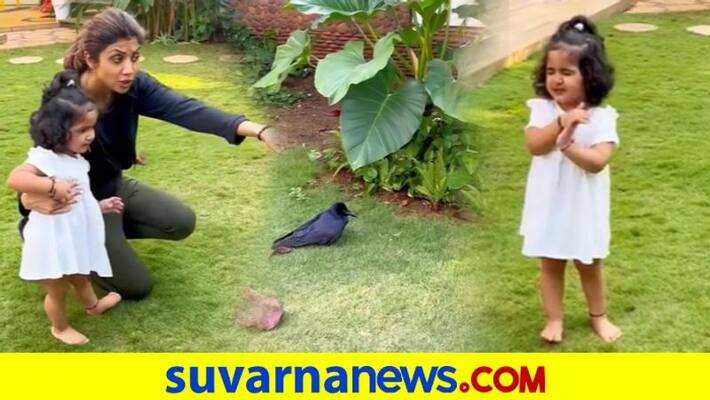 Shilpa Shettys daughter Samisha chants Gayatri mantra as she prays for injured bird dpl Shilpa Shettys daughter Samisha chants Gayatri mantra as she prays for injured bird dpl