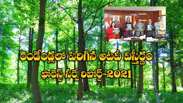 Forest tree cover in India rose by 2261 sq km in 2 yrs: Report Forest tree cover in India rose by 2261 sq km in 2 yrs: Report