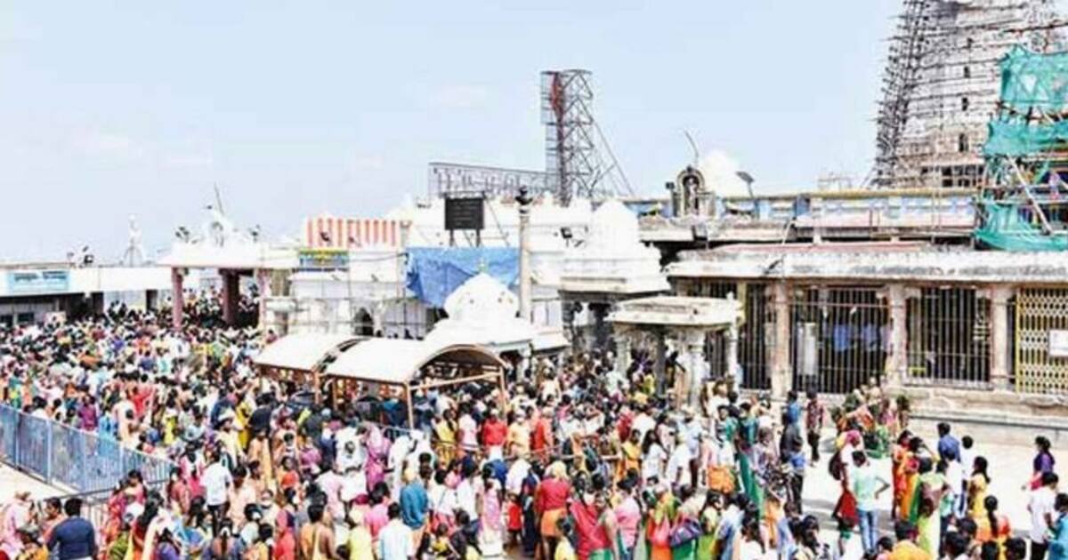 Pongal: பழனிக்கு பாதயாத்திரையாக வந்த பக்தர்கள்: 3 மணி நேரமாக காத்திருந்து சாமி தரிசனம்!