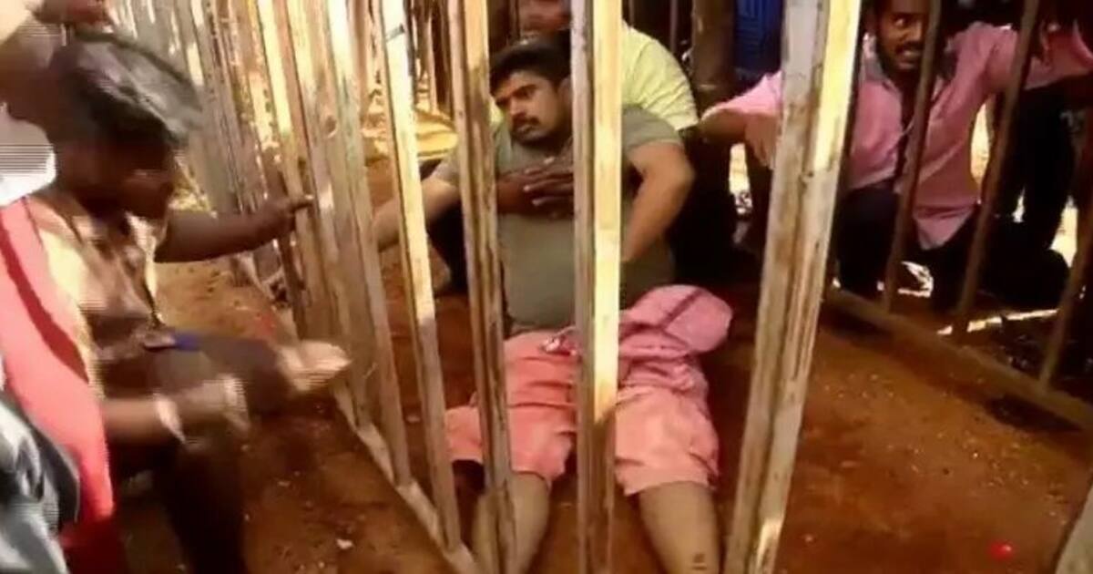 Jallikattu: உரிமையாளர் மீதே பாய்ந்த காளை..பறிப்போன உயிர்...ஜல்லிக்கட்டில் வீபரிதம்..