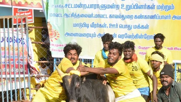 Madurai Alankanallur Jallikattu Ground - Minister AV Velu Madurai Alankanallur Jallikattu Ground - Minister AV Velu