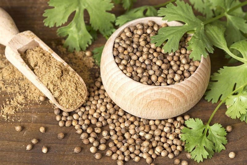 Health benefits of coriander seeds