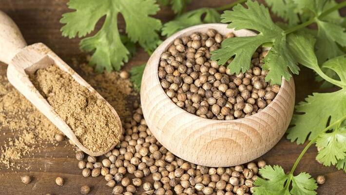 Coriander Seeds Prevent Diabetes: How Did You Know? Coriander Seeds Prevent Diabetes: How Did You Know?