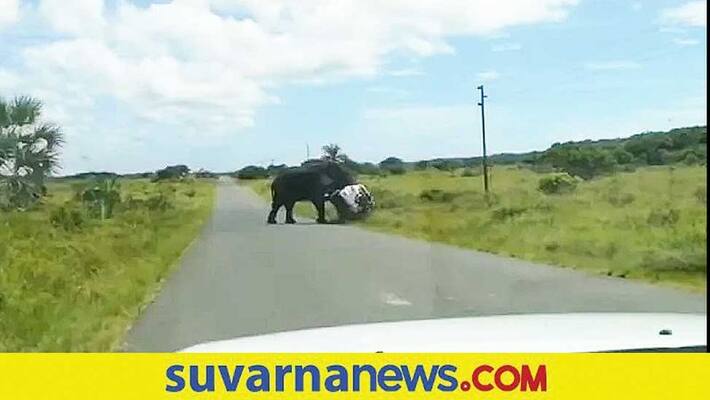 Angry elephant attacked over car with 4 people at South Africa akb Angry elephant attacked over car with 4 people at South Africa akb