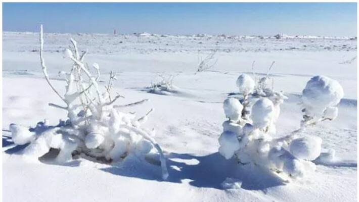 Four Indians, including baby and teen freeze to death near US-Canada border-dnm Four Indians, including baby and teen freeze to death near US-Canada border-dnm