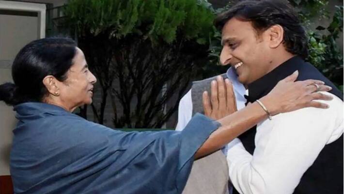 mamta banerjee will campain in support of akhilesh yadav up assembly election 2022 mamta banerjee will campain in support of akhilesh yadav up assembly election 2022