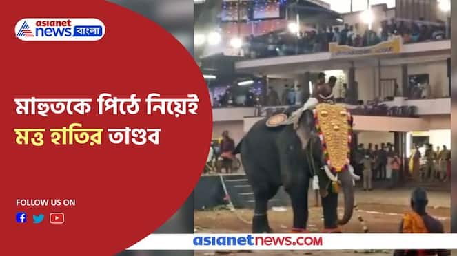 Angry Elephant ran with Mahoot on his back viral video caught in Thrissur Pnb