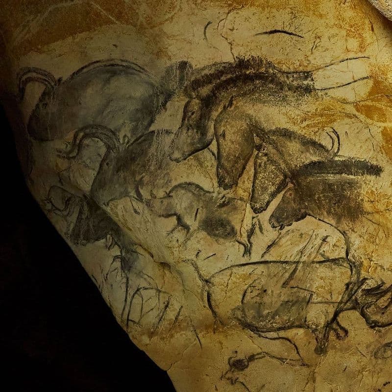 wall painting with horses rhinoceroses and aurochs