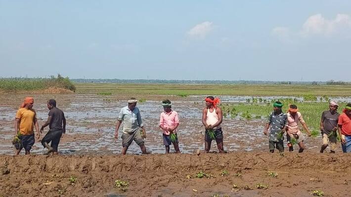 migrant labors search jobs by making visiting cards in Palakkad avoiding mediators migrant labors search jobs by making visiting cards in Palakkad avoiding mediators
