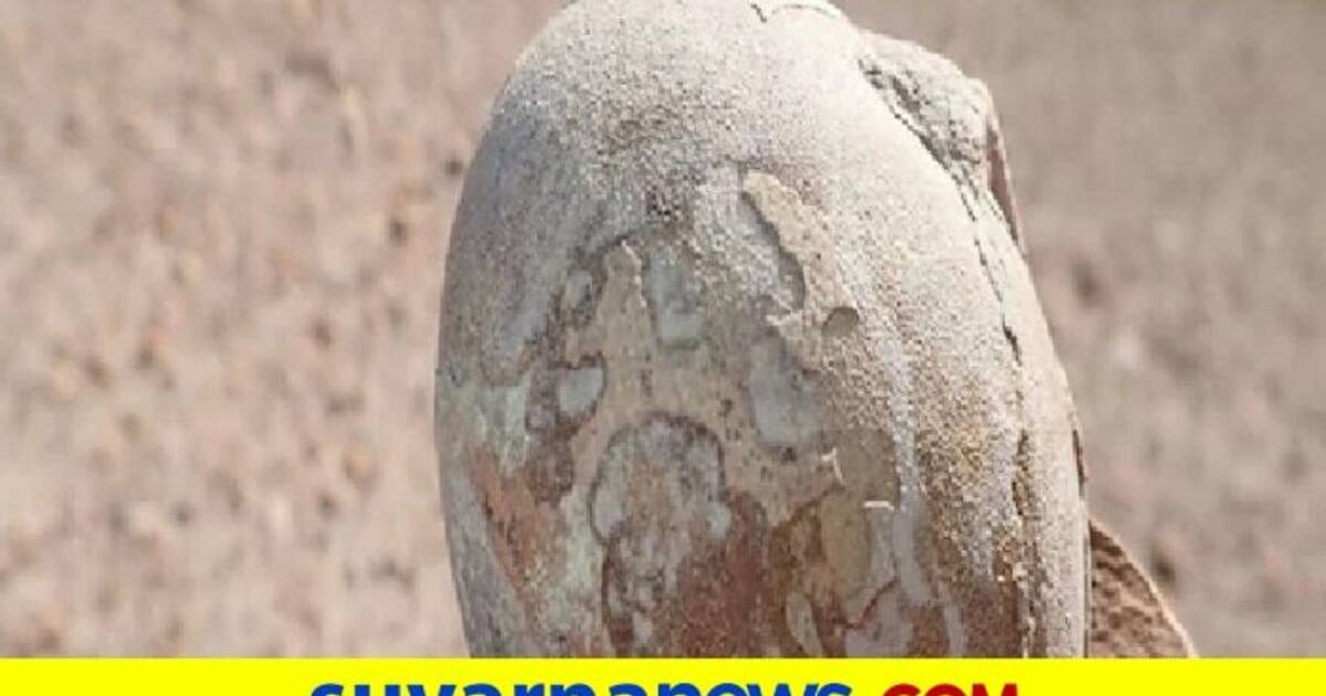 ಅತ್ಯಂತ ಪುರಾತನ ಮಾನವ ಪಳೆಯುಳಿಕೆ ಪತ್ತೆ, ಬಯಲಾಗಲಿದೆ 2,30,000 ವರ್ಷ ಹಳೇ ರಹಸ್ಯ