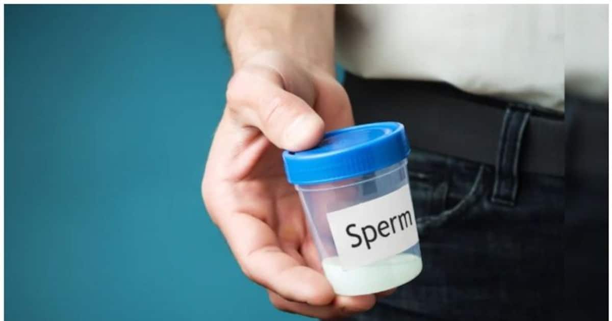 Sex secret 4: ஆண்களே உங்கள் விந்தணுக்களை அதிகரிக்கும் அற்புத உணவுகள்..ஆய்வு சொல்லும் வழிகள்..