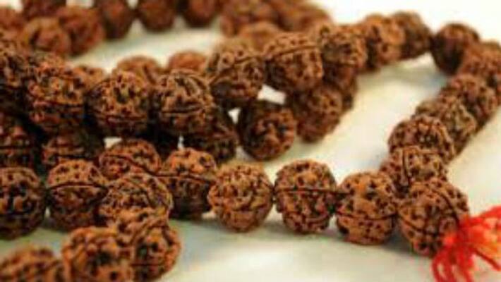 Sawan 2022 know about the benefits of wear Rudraksha on this month BDD Sawan 2022 know about the benefits of wear Rudraksha on this month BDD