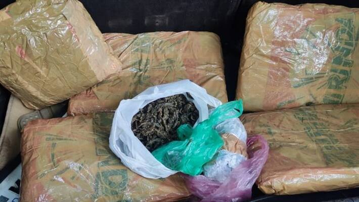 police raids on pan shops over selling cannabis police raids on pan shops over selling cannabis