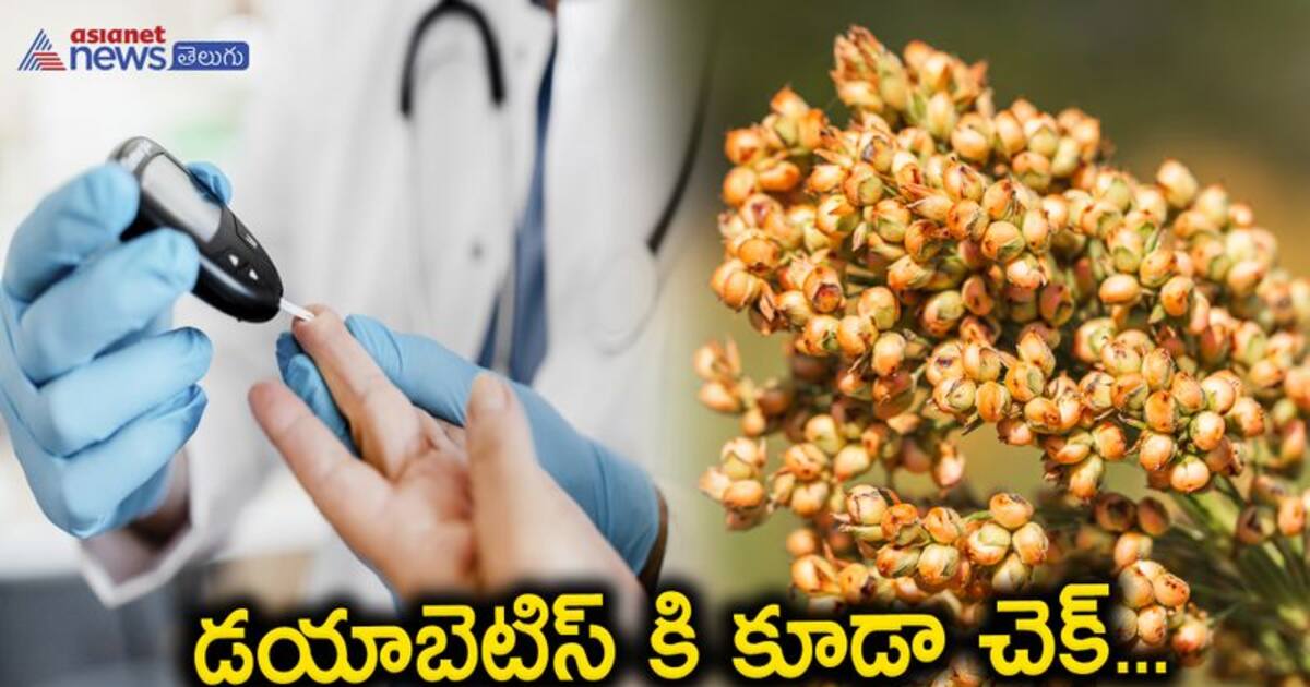 Batala Ragulu తృణధాన్యాలలో రారాజు రాగులు, ఎన్ని ప్రయోజనాలో... | Health Benefits of ...