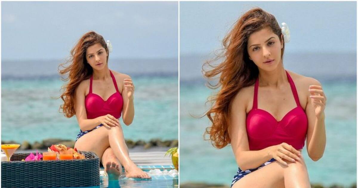 vedhika bikini photos : காதோரம் புது மலர்..ஈர பிகினி உடை..கடற்கரையை சூடாக்கிய வேதிகா...