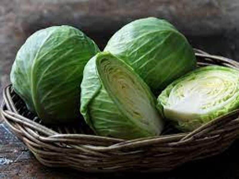 Cabbage is beneficial for our health in many ways say experts