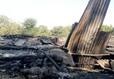 Madhya Pradesh Man Booked for Setting 3 Houses On Fire, Vandalizing Temple