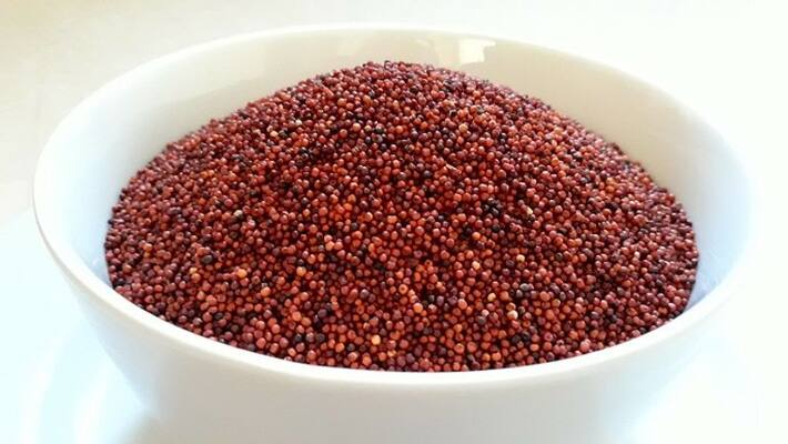 Purchase of Millet under Supporting Price snr Purchase of Millet under Supporting Price snr
