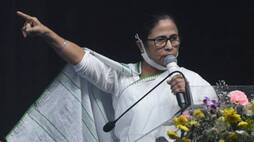 UP Election 2022 Mamata urges citizens to vote for Akhilesh asks not to fall for BJP s false promises gcw