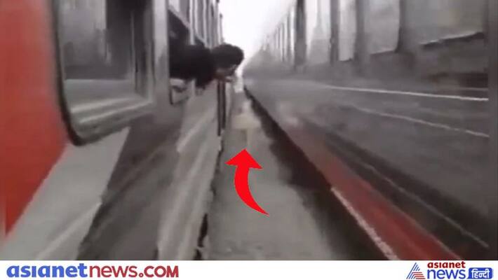 Video of horse running between two trains KPZ Video of horse running between two trains KPZ