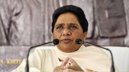 UP Election 2022 BSP chief Mayawati to kick off poll campaign in Agra on February 2 gcw
