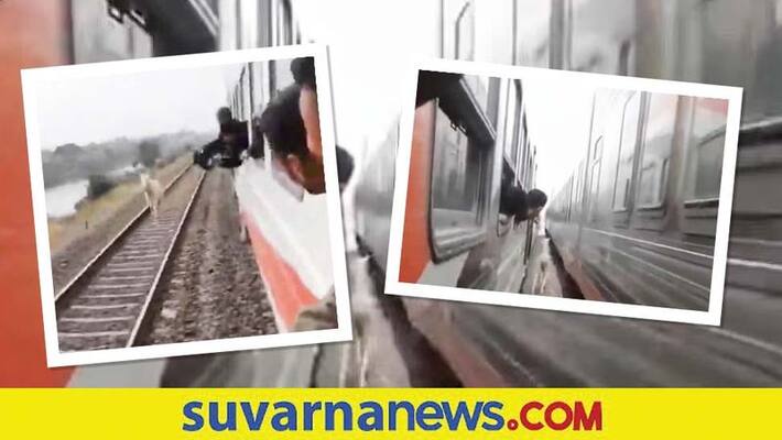 Horse runs between moving train watch hair-raising video akb Horse runs between moving train watch hair-raising video akb