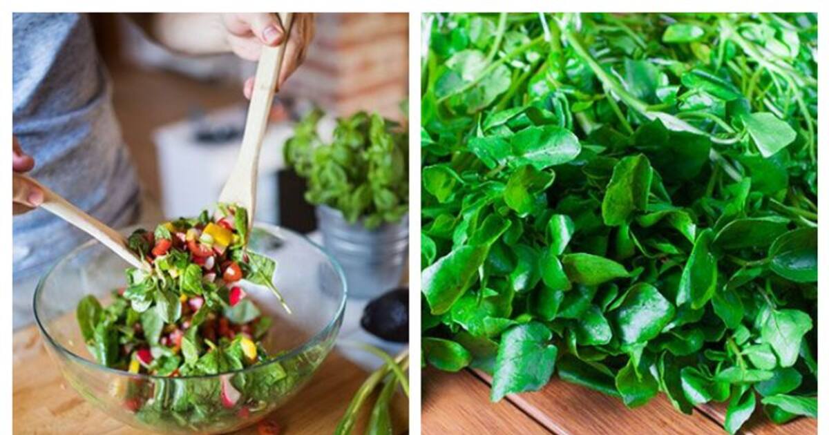 மேத்தி அல்லது வெந்தய கீரைகள்....இந்த மூன்று கீரைகளை மிஸ் பண்ணாதீங்க..! குளிர் காலத்திற்கு பெஸ்ட்!!