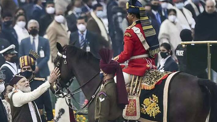 republic day president horse virat retires after 13 years of service pm modi bid farewell pwt